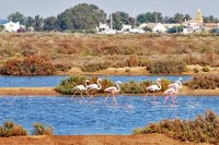 Ria Formosa