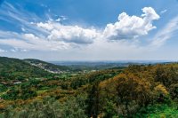 Serra de Monchique